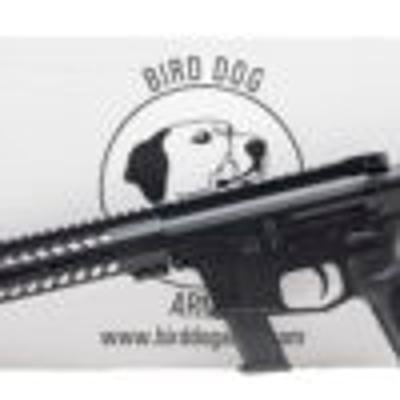 "(SN: 100093) BIRD DOG BD-9 RIFLE 9MM (L2023-17838) NEW" - Image 2 of 5