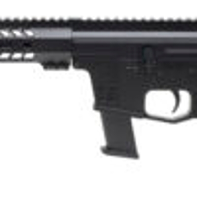 "(SN: 100026) BIRD DOG BD-9 RIFLE 9MM (L2023-17918) NEW" - Image 4 of 5