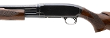 "Winchester 12 Deluxe Pre-64 20 Gauge (W11699)" - Image 4 of 5
