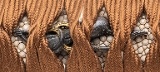"Japanese Katana Signed “Bizen Osafune Sukesada" with Dragon Horimono (SW2003)" - Image 18 of 18