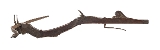 "Early 17th Century Cross Bow (AL7408)" - Image 4 of 4