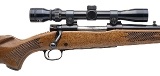 "SEARS MODEL 53 (WINCHESTER 70) RIFLE 243 WIN. (L2026-02867)" - Image 2 of 4