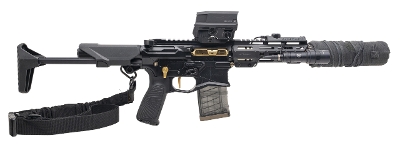 "GQ ARMORY PALADIN SBR W/Q TRASH PANDA SUPPRESSOR COMBO .300 BLACKOUT (L2026-09374)(L2026-09375)" - Image 1 of 4