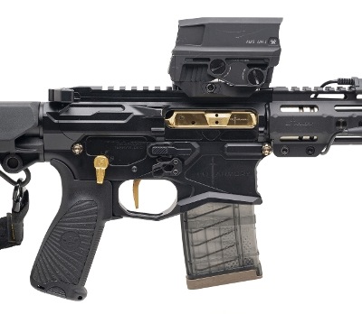 "GQ ARMORY PALADIN SBR W/Q TRASH PANDA SUPPRESSOR COMBO .300 BLACKOUT (L2026-09374)(L2026-09375)" - Image 2 of 4