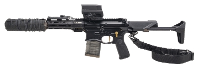 "GQ ARMORY PALADIN SBR W/Q TRASH PANDA SUPPRESSOR COMBO .300 BLACKOUT (L2026-09374)(L2026-09375)" - Image 3 of 4