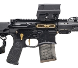 "GQ ARMORY PALADIN SBR W/Q TRASH PANDA SUPPRESSOR COMBO .300 BLACKOUT (L2026-09374)(L2026-09375)" - Image 2 of 4