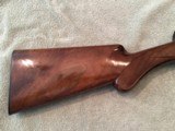 Beautiful Browning A5 Light Twenty - 20 Gauge -28
