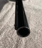 Browning B-80 Twelve Gauge with a 26