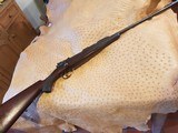 Westley Richards .318 accelerated express - 4 of 14