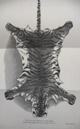 A Sportsman's Handbook to Practical Collecting and Preserving Trophies by Rowland Ward, F.Z.S. 1894 - 4 of 11