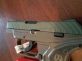RUGER LCPII Jungle Green TALO Edition
- 4 of 9