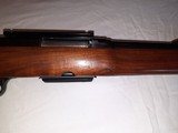 Winchester Model 88 Carbine .308 carbine - 9 of 15