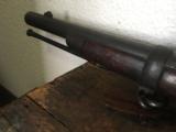 Springfield 1884 Trapdoor Rifle - 6 of 14