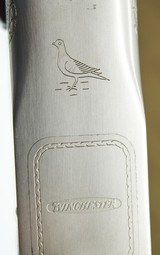 Winchester Pigeon Grade .410 Gauge ***FACTORY CASE*** - 14 of 19
