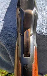 Marlin Model 1888 in 44-40 - 7 of 15