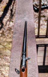 WInchester 1902 Short and Long FOR SALE - Image 7 of 10