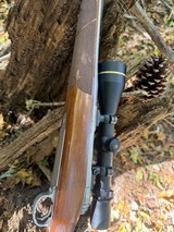 CZ Model 03 270 WSM stainless (SHIPS FREE) - 3 of 3