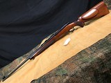 Winchester Model 70 Pre 64 Super Grade 22 Hornet - 1 of 15