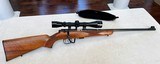 Anschutz Junior Varminter 22LR Collector MINT - 11 of 15