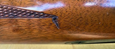 Kimber 82 Custom Classic 22LR Nice - Image 6 of 15