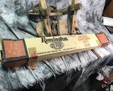 Remington Mod Nylon 66 Apache Black/Chrome Cal .22LR NIB - 19 of 19