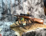 Winchester Pre-64 Model 70, .220 Swift - 3 of 21