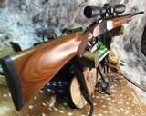 Ruger No.1 , .223 Caliber, High Condition, 2007 D.O.M. - 3 of 17