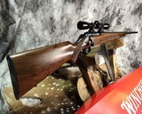 Winchester Model 52B, .22LR Bolt Action W/ Leupold 4X Scope, Boxed - 2 of 15