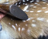 1949 Mfg. Winchester Model 94 Carbine .32 Special - 6 of 22