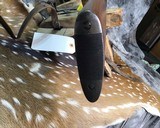 Rare WWII 1942 Mfg. Winchester Model 94, 30-30 Carbine - 7 of 18