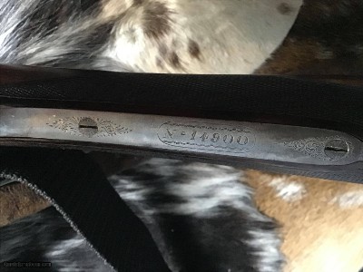 1947 Mfg. AYA Merkel Scalloped Action Boxlock O/U 12 Ga Trap Shotgun - Image 18 of 24