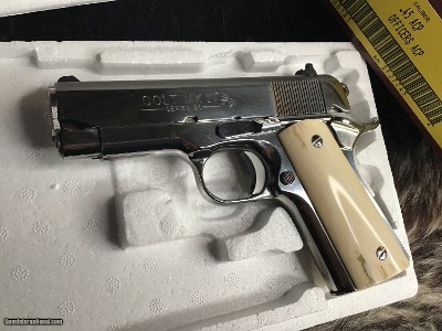 1988 Mfg. Colt Officers .45 ACP, Bright Stainless,Ivory Grips Boxed, Gorgeous, 3.5 inch - Image 5 of 24