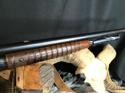 1929 Mfg. Remington Model 14, .30 Remington Caliber, Pump Action Rifle , Gorgeous Original Condition - Image 9 of 15