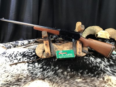 Remington Model 81 Semi Auto, .30 Rem. Mfg 1945. Trades Welcome. - Image 11 of 22