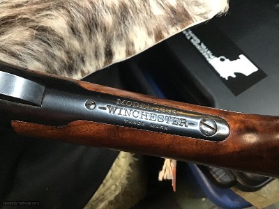 1902 Mfg. Winchester model 94, Octagon Bull Barrel, .32 Winchester Special. Trades Welcome - Image 15 of 18