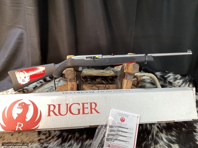 Stainless Steel Ruger 10-22, New In Box, .22LR
