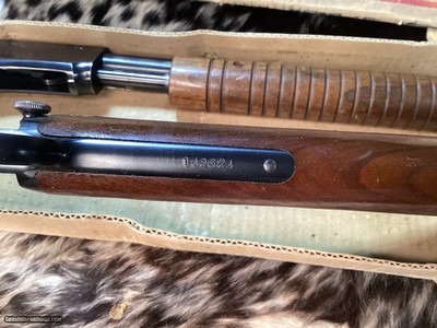 1942 WWII Wartime Produced Winchester model 62 With Factory Picture Box. 22SLLR, Trades Welcome. - Image 4 of 5