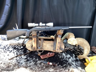 AMT Acadia Machine Tool “Small Game Hunter II” Rare Ruger 10/22 Clone in Stainless. Trades Welcome - Image 5 of 8