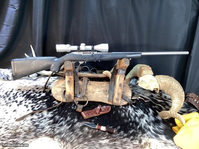 AMT Acadia Machine Tool “Small Game Hunter II” Rare Ruger 10/22 Clone in Stainless. Trades Welcome