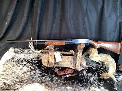 1962 Winchester Model 12 Pump Action 12 Ga. Shotgun, Clean, Trades Welcome - Image 8 of 12