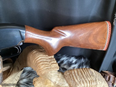 1962 Winchester Model 12 Pump Action 12 Ga. Shotgun, Clean, Trades Welcome - Image 9 of 12