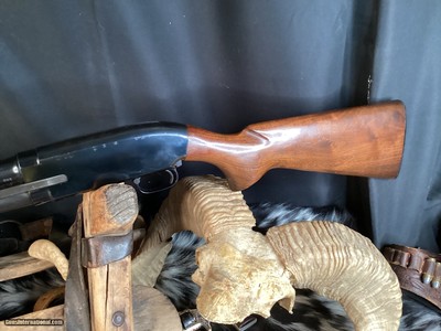 Pre-64 Winchester Model 12 Featherweight Pump 12 Ga Shotgun, solid frame. Trades Welcome - Image 10 of 12
