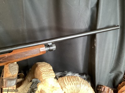 1968 Winchester model 1200 Pump Action Shotgun, 12 Ga. Trades Welcome - Image 6 of 9