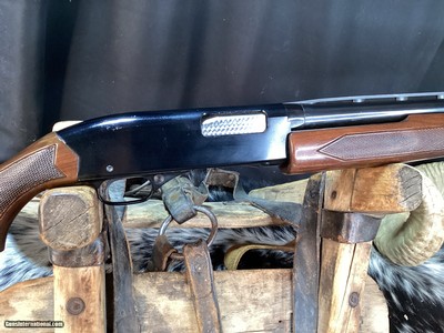 1971 Mfg. Winchester Model1200, .20 Gauge Pump Shotgun, Full Choke, Game & Field , Trades Welcome - Image 3 of 9