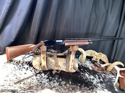 1971 Mfg. Winchester Model1200, .20 Gauge Pump Shotgun, Full Choke, Game & Field , Trades Welcome - Image 5 of 9