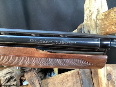 1971 Mfg. Winchester Model1200, .20 Gauge Pump Shotgun, Full Choke, Game & Field , Trades Welcome - Image 9 of 9