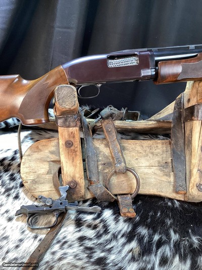 1973 Winchester Model 12 “Y” Series, Monte Carlo Trap Stock, 12 Ga Ported, Trades Welcome - Image 4 of 21