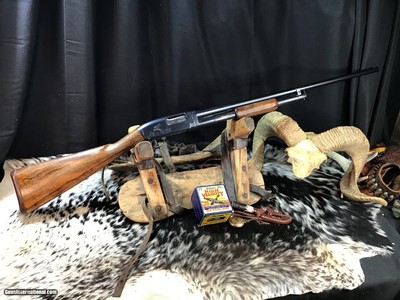 1950 Sampson Game Bird Engraved Winchester Model 12, .20 Bore, Straight Grip Stock, Trades Welcome - Image 4 of 22