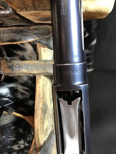 1950 Sampson Game Bird Engraved Winchester Model 12, .20 Bore, Straight Grip Stock, Trades Welcome - Image 21 of 22