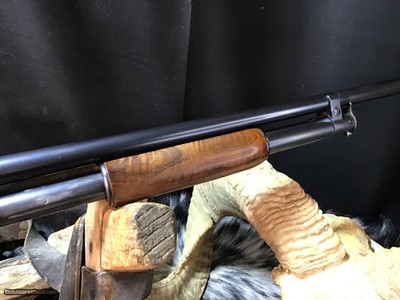 1950 Sampson Game Bird Engraved Winchester Model 12, .20 Bore, Straight Grip Stock, Trades Welcome - Image 9 of 22